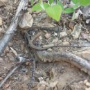 마지초등학교 이미지