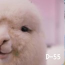 유가명가즉석찰순대&왕족발 | 5월셋째주 공시생 일상 계리직 공부하고 비김면먹고 족발먹고 순대먹고 스터디카페가고