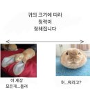 비밀