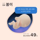 11260-1-18-34 | 임신 33~34주차 일상, 휴직 시작! 육아용품 준비, 배크기, 빨래 지옥, 결혼 1주년