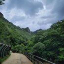 제361회 정기산행 - 경북 청송군 주왕산 계곡트레킹/주봉등산코스 8월 3일(첫째주 일요일) 이미지