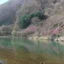 숲속의 하얀펜션 이미지