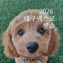 NEW 반려동물을 위한 수제간식&아로마제품 제작반 | 대구펫쇼 2026 일정 총정리 │ 엑스코 펫페어 방문 전 알아보기