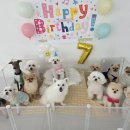 일리키독 이미지