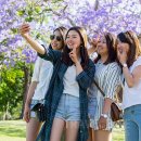 (주)드림메드 이미지