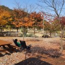 금오산 오토캠핑장 이미지