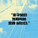 호구선생