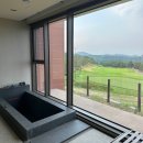 소노펠리체 델피노 이미지