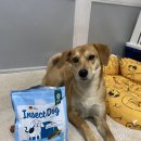 (주)그린펫푸드 이미지