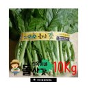 돌산농장 이미지