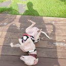 아토스테이 이미지