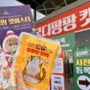 팡구컴퍼니 | 제12회 궁디팡팡캣페스타 크리스마스 후기 및 가격정보