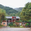 나무이야기 펜션 리솜포레스트 이미지