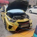 새한카독크 이미지