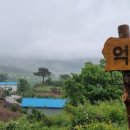 억산농장 네이버블로그