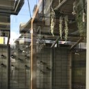 중문홀덤펍 | 7월 4주 화양동 소식: 식후땡 망고가 1500원이라고?