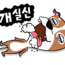 히마와리 - 성북구 한천로78길 45 | 히마와리