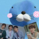 팀 보노 | 드라마 추천 프로보노 1화 요약