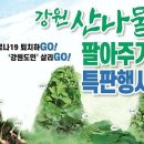 강원특판 이미지