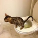 대전항외과의원 이미지