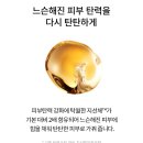 백화점용 설화수 탄력크림 기획세트 (무료포장) 이미지