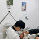레푸스김포걸포점