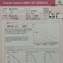 엠에스몰(MS몰) | 임신준비기록: 여자 난임검사 후기 2탄💪(청주엠에스여성의원/AMH수치/비타민D/프로락틴/성선호르몬...