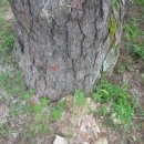 한산마을 이미지