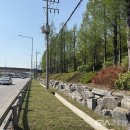 개화동로 이미지