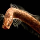 찬우물생태 이미지