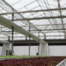 해오름농장-1 이미지