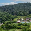 백화쉼터 이미지