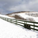 삼삼오오목장 이미지