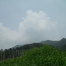 복된 장마비 - 7176 | 복된 장마비