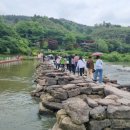 출렁다리 이팝나무길 이미지