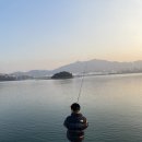 지렁이마을 | 낚시/ 묘도 창촌마을 방파제 볼락탐사 후기