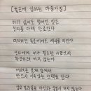 오늘도, 멍멍 이미지