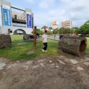 문화광장_홈플러스 이미지