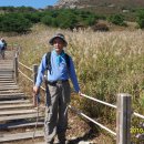 도래재로 이미지