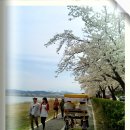 강릉경포물회 이미지