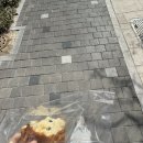 생활영어 입문반 | 이온토플 내돈내산 한 달 수강 후기(내벨업 챌린지) 노베---> 4.5(90점) 달성!