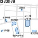중동역농수산물 이미지
