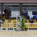 장수승마장 이미지