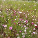 물푸레마을7단지 이미지