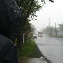 서귀포경찰서 이미지