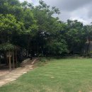 카페cafe toast | [브리즈번 카페] 웨스트 빌리지 감성 맛집 '피크닉 카페(Picnic Cafe)' 후기