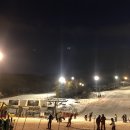 모른골지 이미지