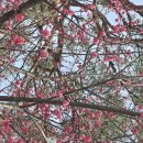 의료법인 지석의료재단 | 금산면 경로회장단 정기총회를 다녀왔어요