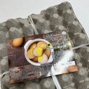 주식회사 옐로에그 | 최고의 구운계란을 찾아서