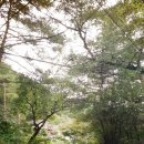 통나무집펜션 이미지